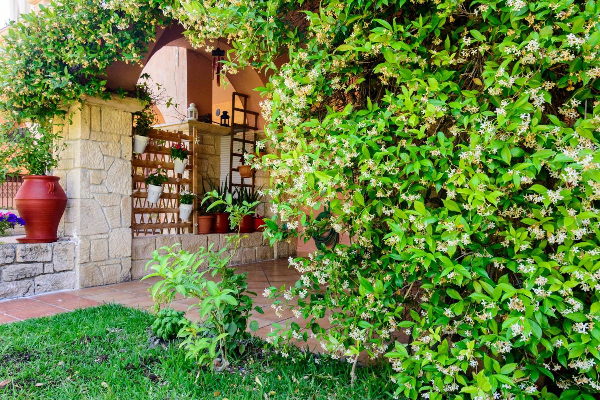 La Luna House Пефкохори Экстерьер фото